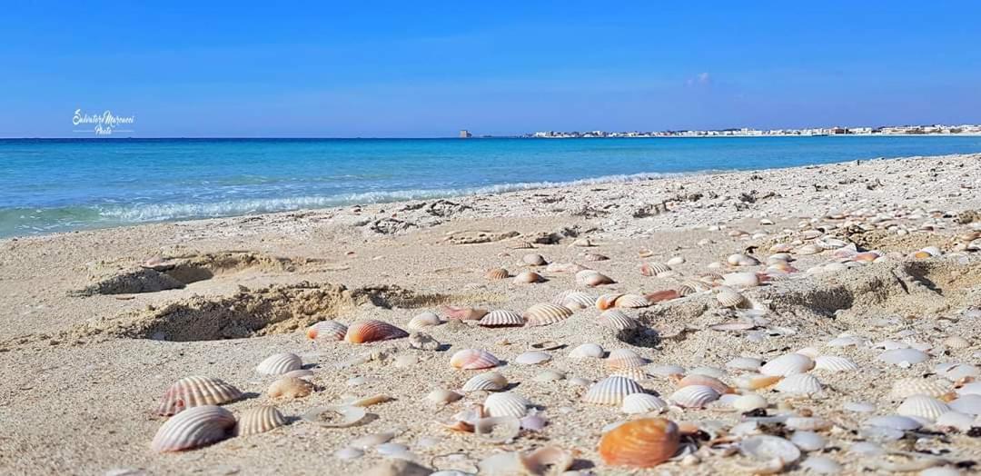 Masseria La Lizza - Ospitalita Rurale Villa Lecce Luaran gambar