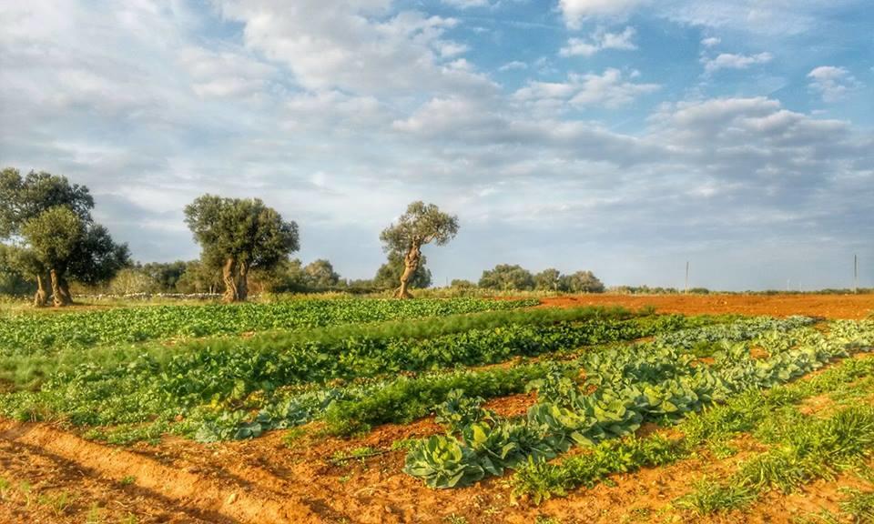 Masseria La Lizza - Ospitalita Rurale Villa Lecce Luaran gambar