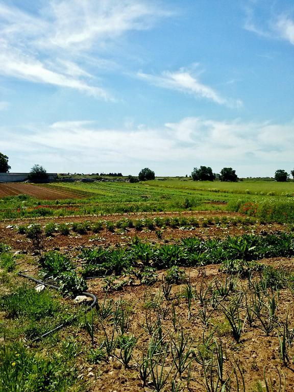 Masseria La Lizza - Ospitalita Rurale Lecce Luaran gambar